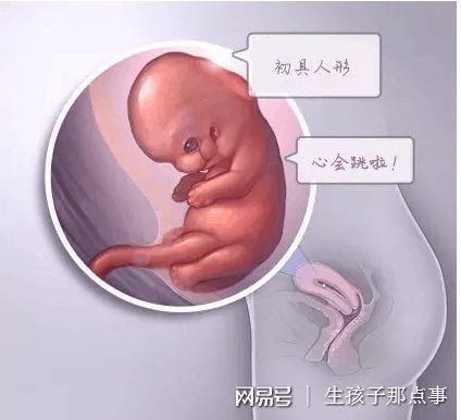 周主任