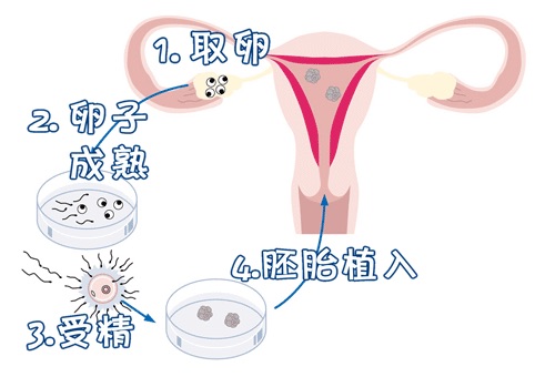 王医生
